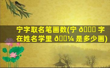 宁字取名笔画数(宁 🕊 字在姓名学里 🌼 是多少画)